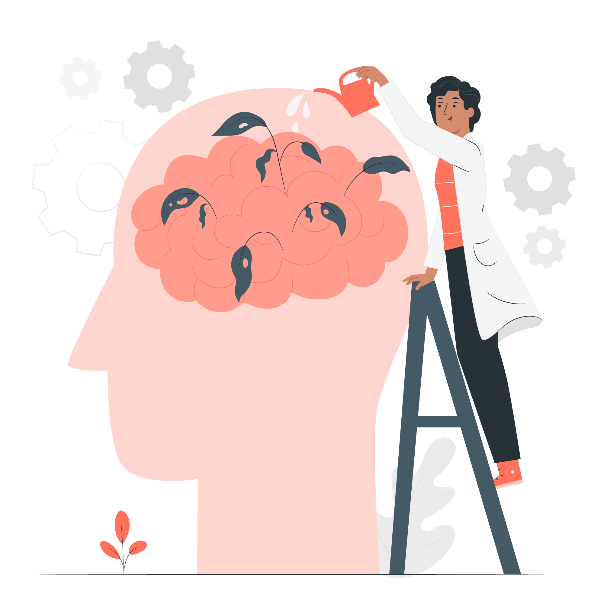 Sertifikalar ve Seminerler